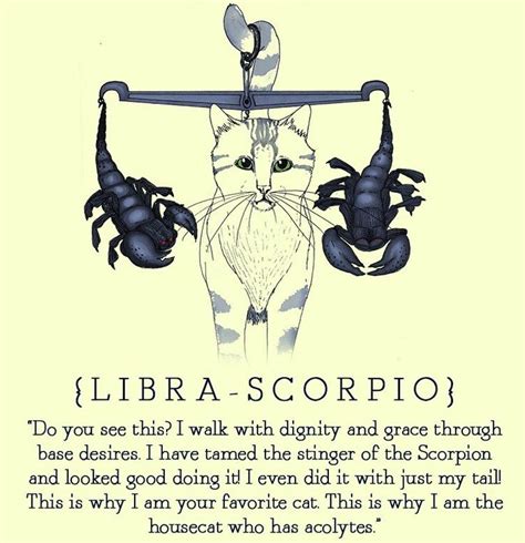 libra scorpio cusp and scorpio compatibility